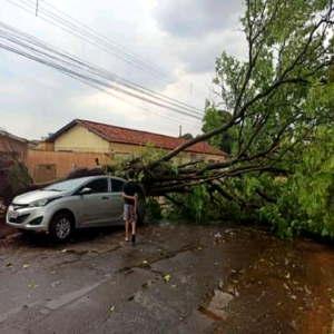 Árvore caída sobre carro durante a tempestade.